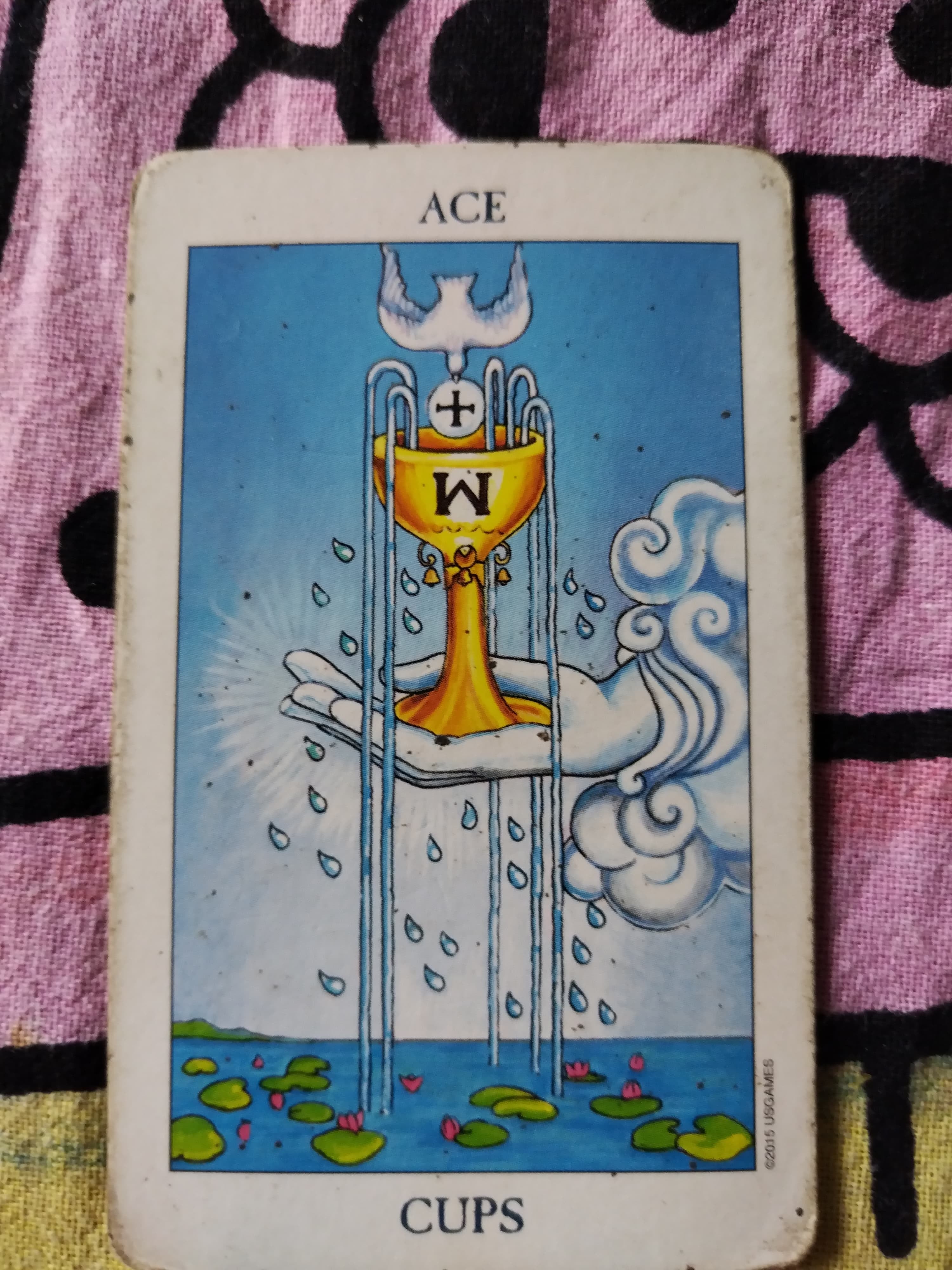 Mithzi Bonilla, muy conocida en redes sociales como Mithzi-Tarot, una bruja blanca que es tarotista de cuarta generación y ella nos hizo el favor de tirarle el tarot al partido entre heredianos y manudos