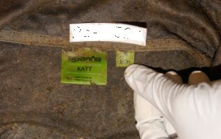 El OIJ compartió estas fotografías para la identificación del cuerpo.