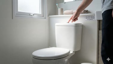 ¿Tapa arriba o tapa abajo? Revelan qué pasa al tirar de la cadena