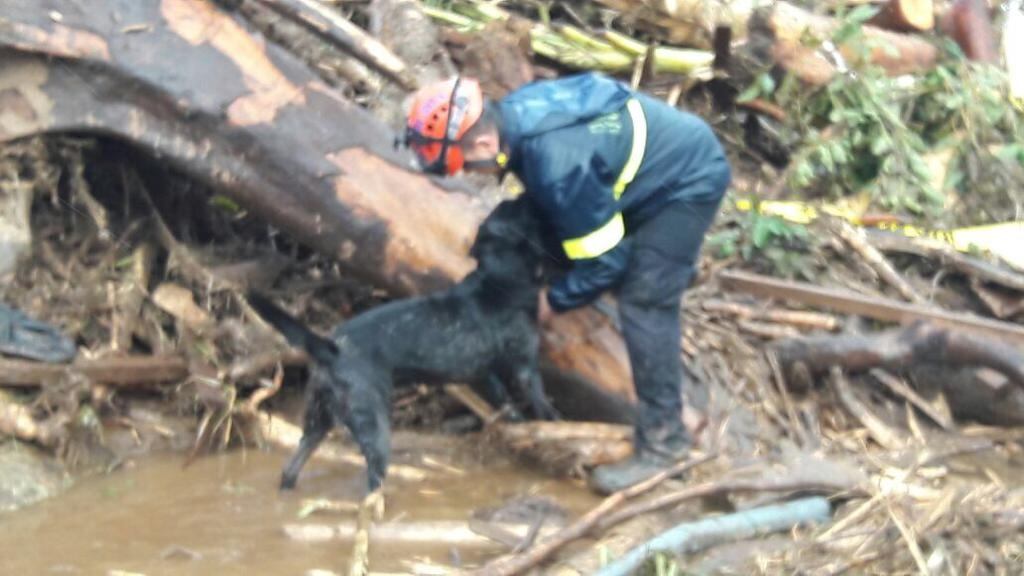 Erik Monge, bombero de la unidad canina de la estación de Tibás.