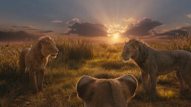 Mufasa: El Rey León y su emotiva historia prometen ser un éxito en taquilla este fin de año