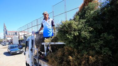 Recicle su árbol de Navidad en estas municipalidades