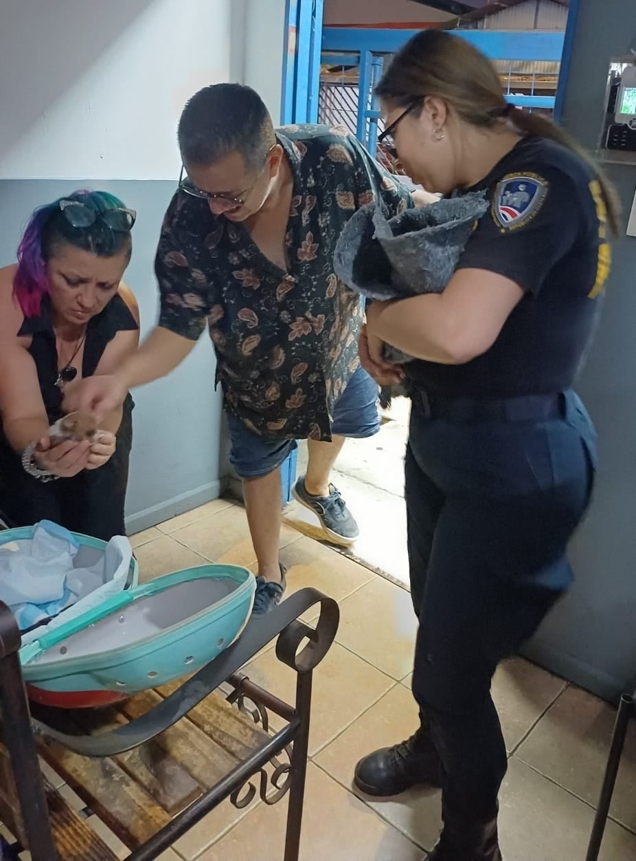 Rescate de animales en Heredia