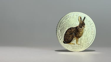 BCCR lanza última moneda coleccionable de 50 colones dedicada al conejo de monte