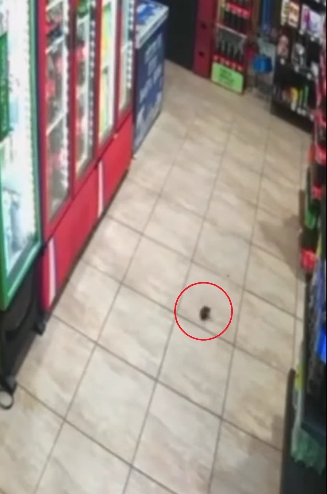 Dos hombres habrían sido quienes lanzaron el explosivo. Captura de video.