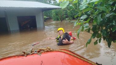 Inundaciones dejan desgarradora imágenes: Bomberos también rescatan animales en Sarapiquí