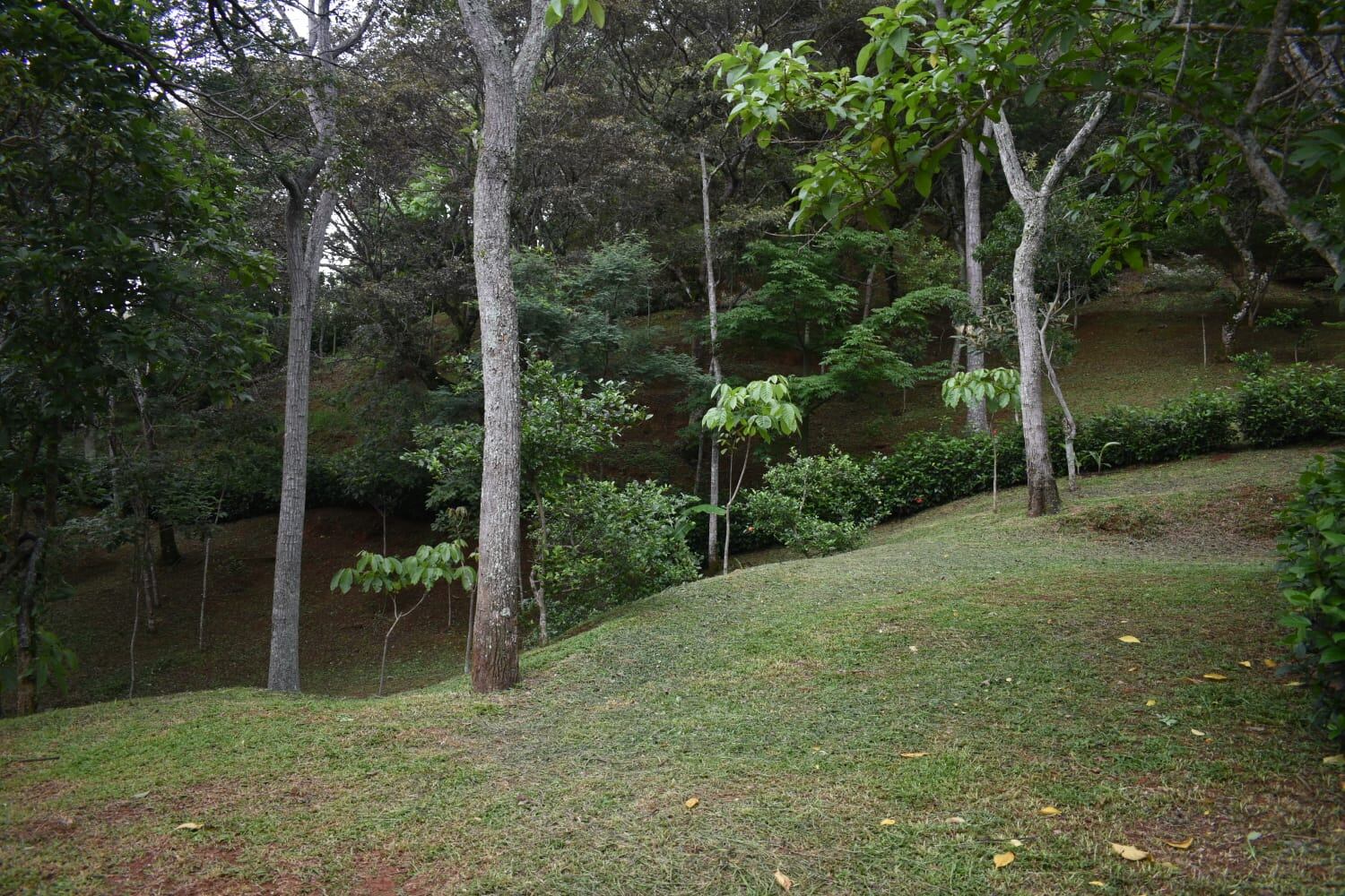 Catarata a una hora de San José es todo un atractivo con sus senderos y frescura.