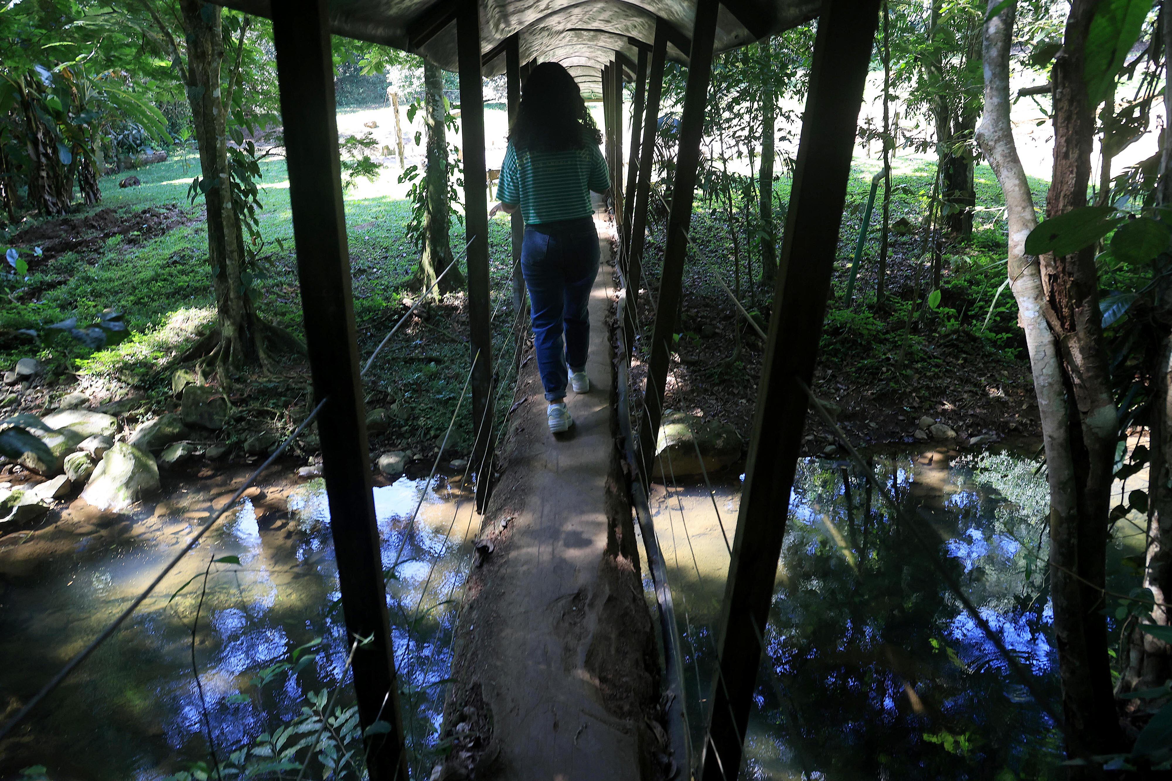 06/03/2024 Río Cuarto de Alajuela. Hotel del Bosque, ofrece caminatas por senderos naturales, servicio de restaurante, gimnasio, canchas y áreas al aire libre para practicar deporte, incluyendo una piscina natural. Foto: Rafael Pacheco Granados