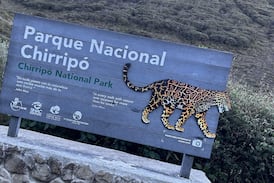 Este es el histórico y codiciado título mundial que busca el Parque Chirripó