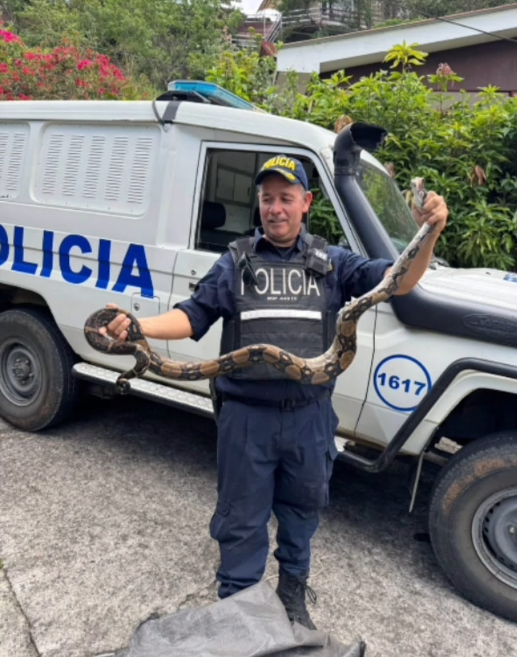 Una enorme boa generó momentos de tensión y temor en una vivienda de Acosta. Foto: MSP