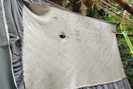 Una fotografía de la Policía Municipal dejó al descubierto una triste realidad que ocurre en silencio en San José