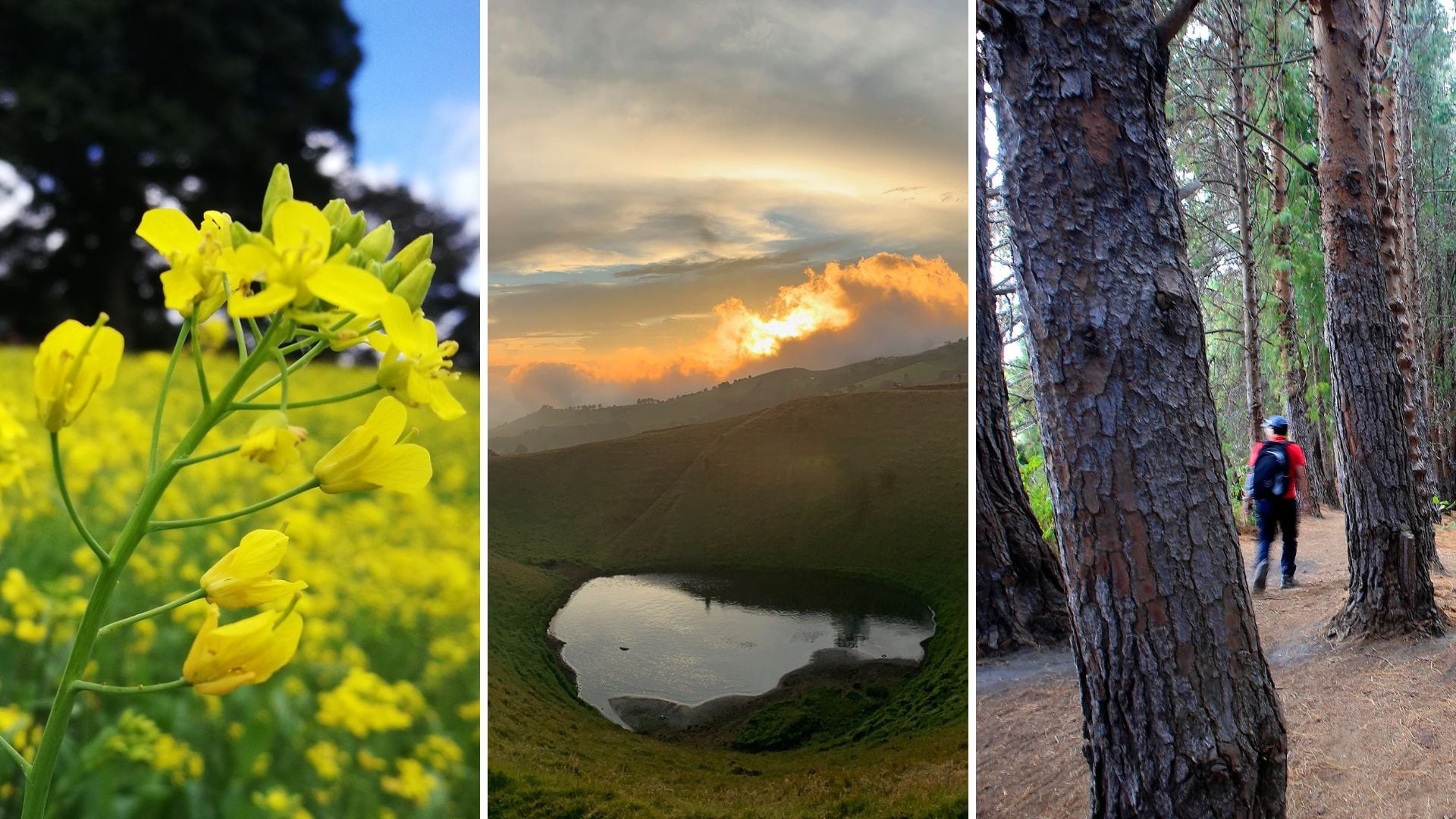 Cartago cuenta con tres paraderos con entradas baratas, que no superan los 2.000.