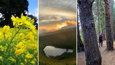 ¿Paseo de un día en Cartago? Desde el bosque en Prusia hasta el Cráter La Olla