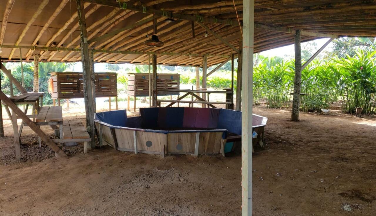 Dos hombres fueron asesinados en gallera clandestina en Guácimo de Limón. Foto Reyner Montero.