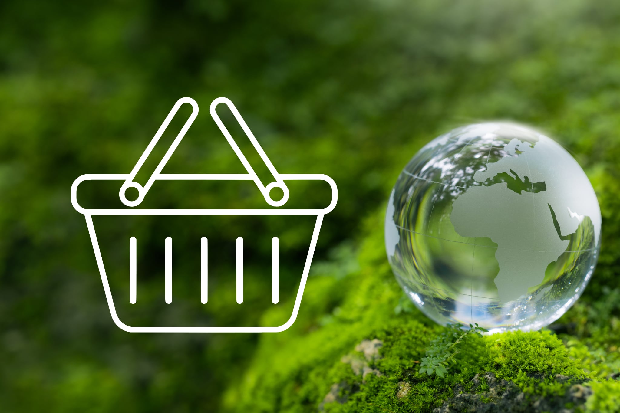 La Teja hizo el ejercicio de comparar los precios de productos ecoamigables con ordinarios.