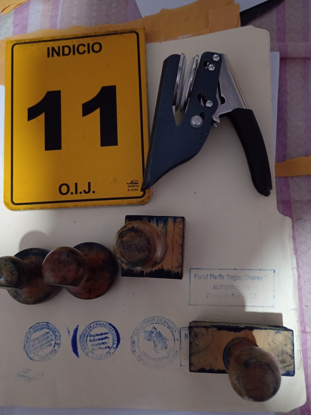 El exestudiante del TEC de apellidos Castro Aguilar, de 24 años, detenido como sospechoso de realizar amenazas de tiroteo le allanaron su casa en San Carlos. Foto: OIJ