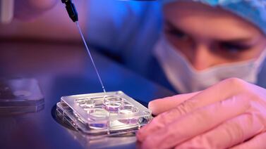 Trabajo: clínica Asembis ofrece variedad de puestos de trabajo y es muy fácil aplicar