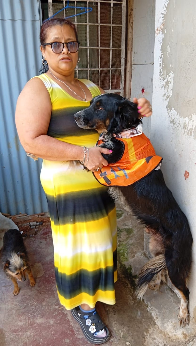 Otto fue rescatado durante la Romería del 2025 y adoptado ese mismo 2 de agosto por la familia de doña Nancy Sánchez, quien asegura que la Virgencita de los Ángeles se lo puso en el camino.