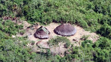 Amazonas, pulmón del mundo, está en manos de un delincuente ecológico
