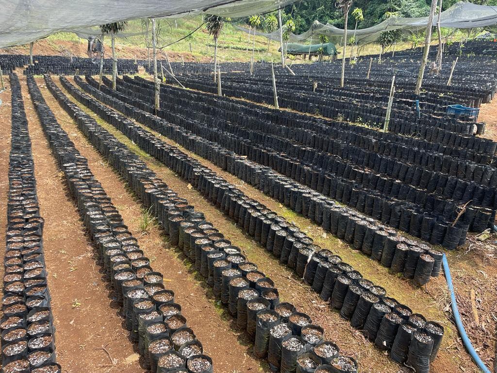 El portero se dedica a la venta de plantas de café desde hace 6 años. Facebook.