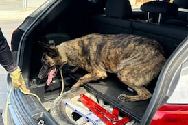 Así fue cómo la Policía descubrió que sospechoso de transportar droga es un futbolista tico