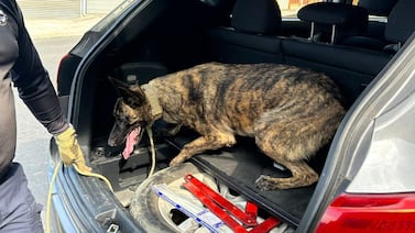 Así fue cómo la Policía descubrió que sospechoso de transportar droga es un futbolista tico