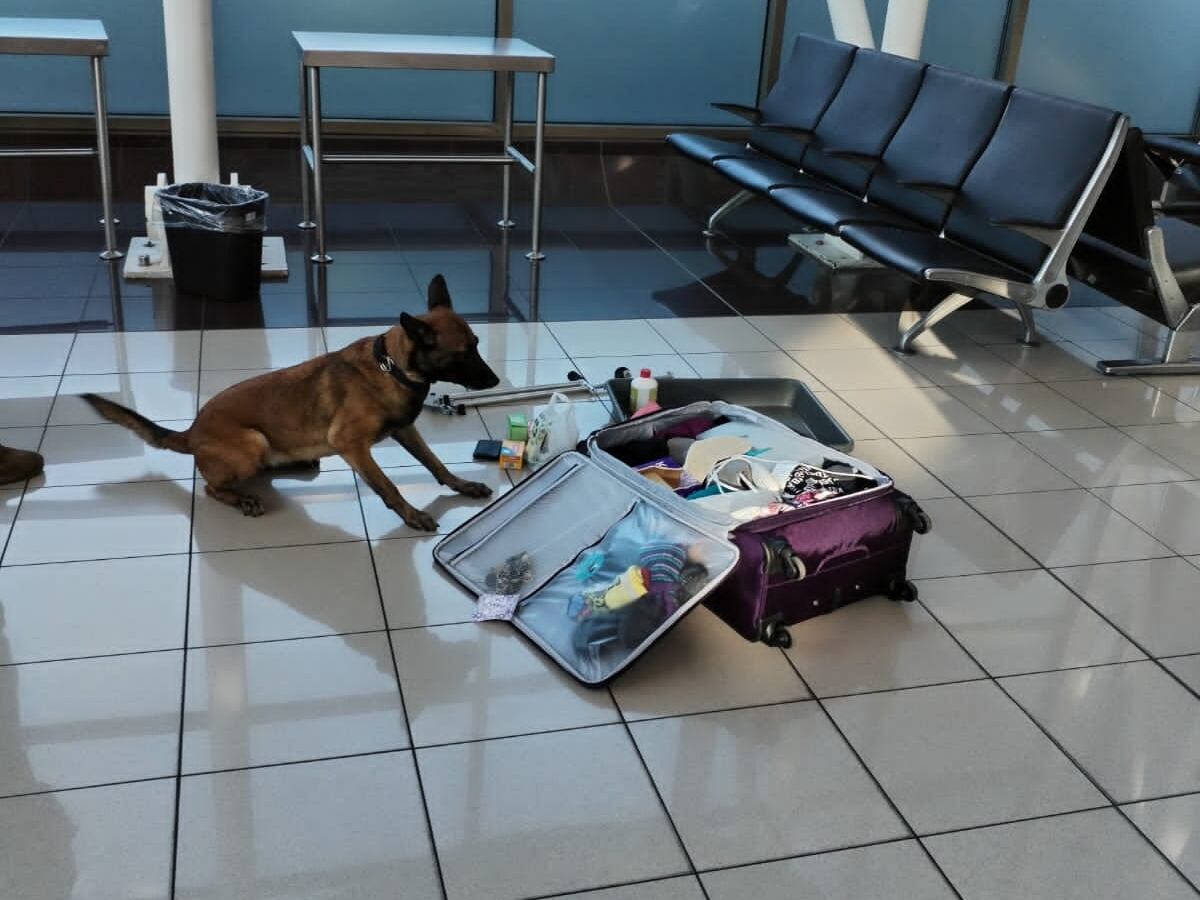 El caso ocurrió en al Aeropuerto Internacional Juan Santamaría. Foto MSP.