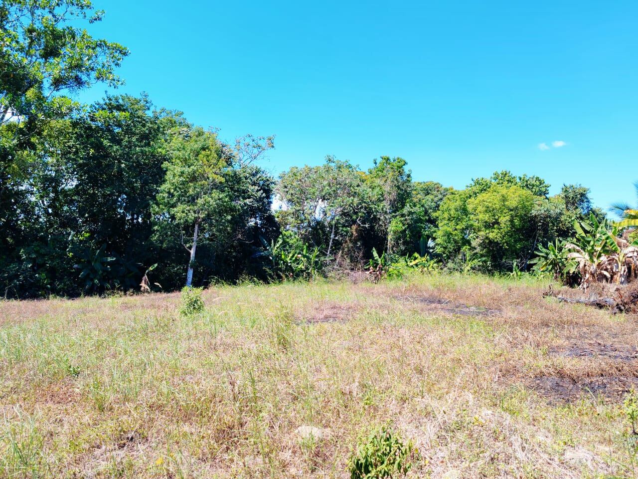 Este terreno en Buenos Aires es perfecto para un casita.
