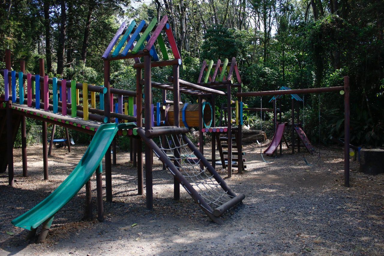 Las actividades tienen como fin fomentar la recreación y el compartir en un ambiente saludable y educativo.