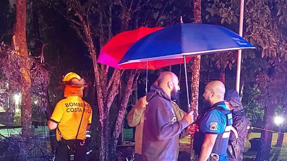 Cortan árboles en la UCR luego de que uno de estos cayera y cobrara vida de un hombre. Foto: Oficiales de seguridad y tránsito UCR