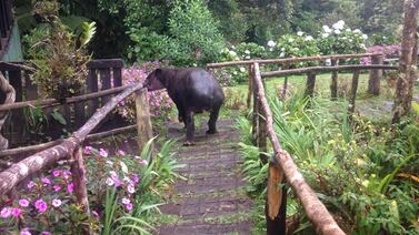 Este domingo podrá dejarse deslumbrar por la magia de las montañas de Heredia