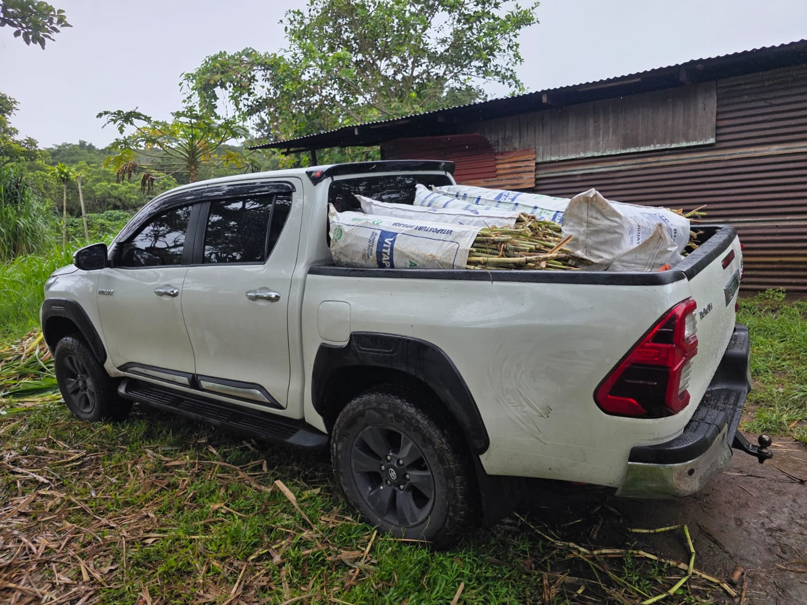 Alias Agachado es sospechoso de robar este carro y también de amenazas de muerte al denunciar lo que pasaba en Sarapiquí. Foto: Diblaim Méndez