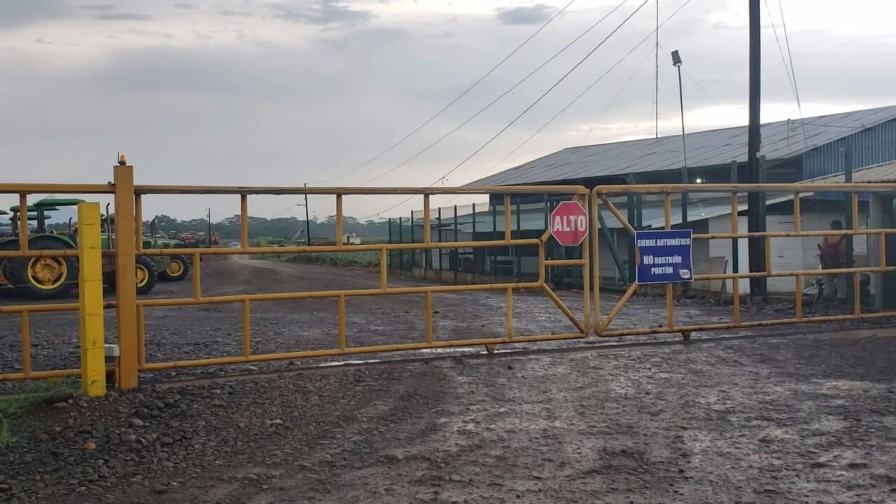 Rayo mata a peón dentro de finca piñera en San Carlos. Foto Edgar Chinchilla.