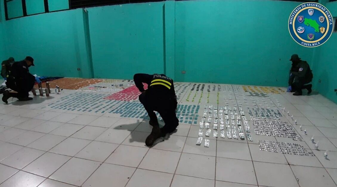 Policía decomisa cargamento de medicamentos valorado en ¢10 millones en Peñas Blancas. Foto MSP.