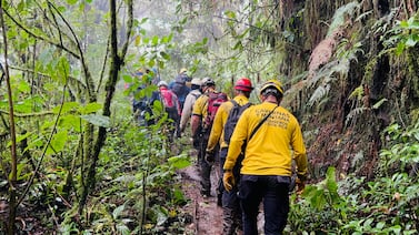 Piloto es rescatado con vida y trasladado en condición crítica tras accidente aéreo en Puerto Jiménez