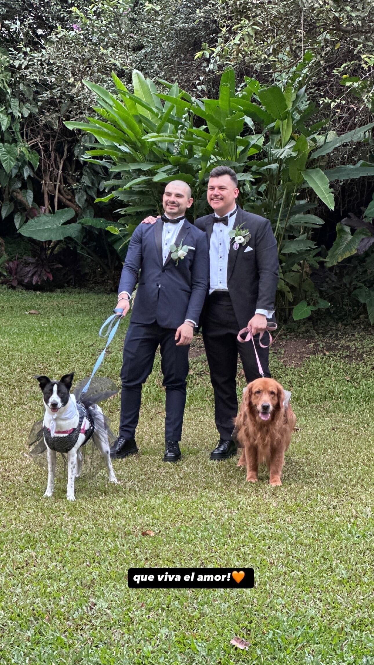 Josué Sánchez y su pareja, Emil, ya son esposos, y las primeras imágenes de la boda ya comienzan a circular en las redes sociales.