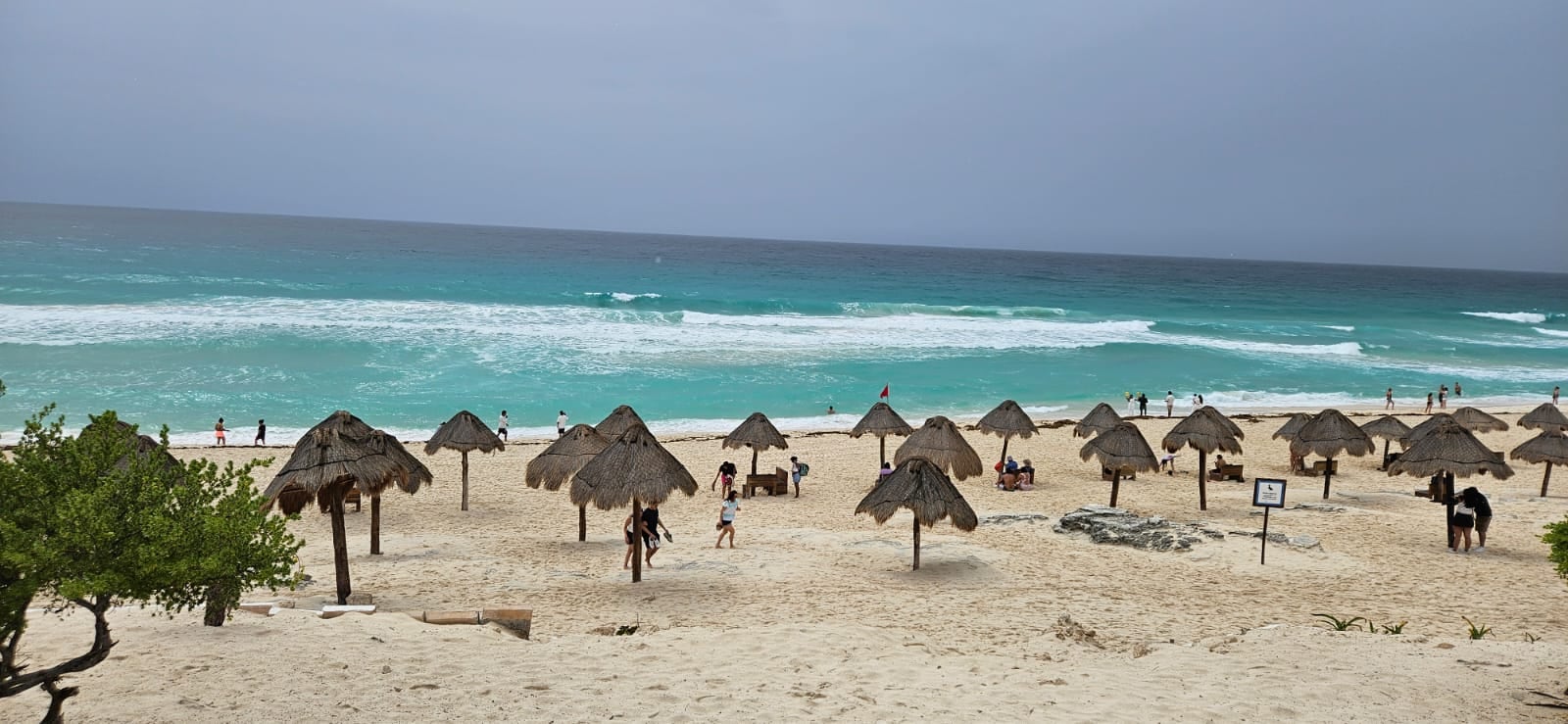 Cuarto día de La Teja en Cancún