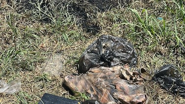 OIJ confirma que huesos hallados en Desamparados no eran de perros