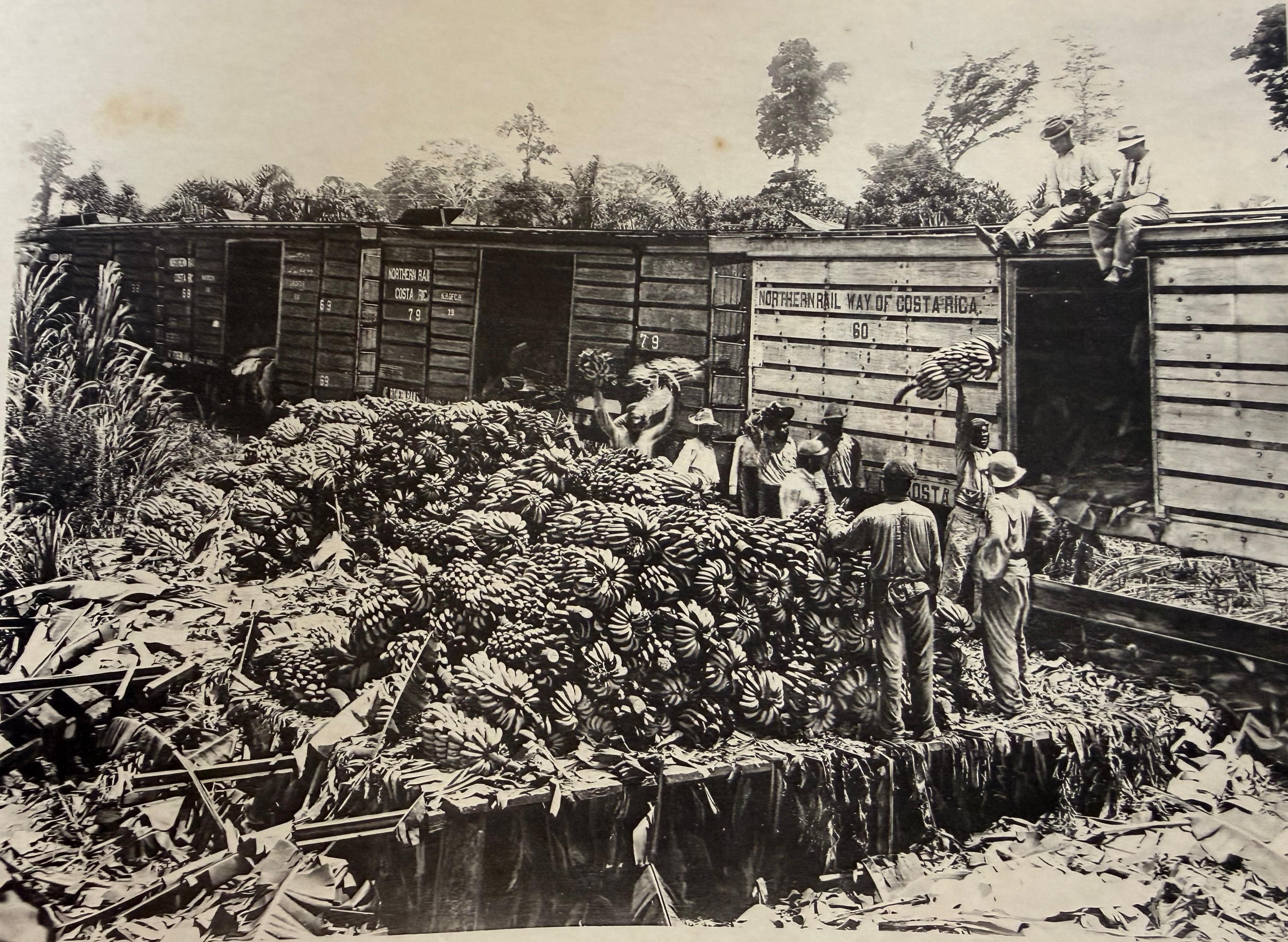 La muestra “Orgullo y dignidad Afrodescendiente” reúne fotografías, libros y memoria histórica como parte del 28 Festival de la Diáspora Africana.