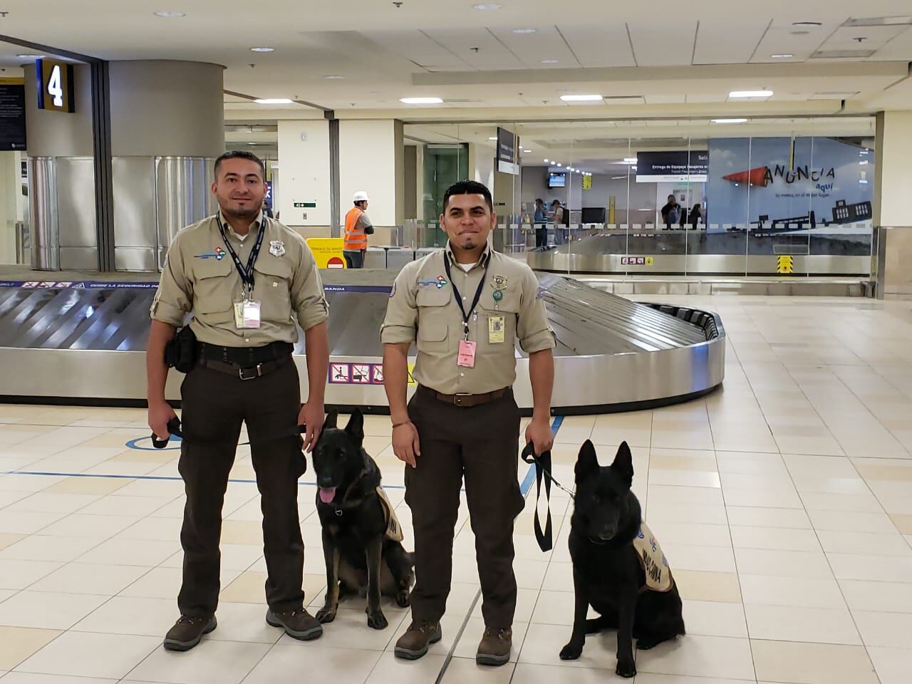 Ali y Archi están en el país con el fin de disminuir el riesgo de ingreso de plagas y enfermedades de importancia cuarentenaria