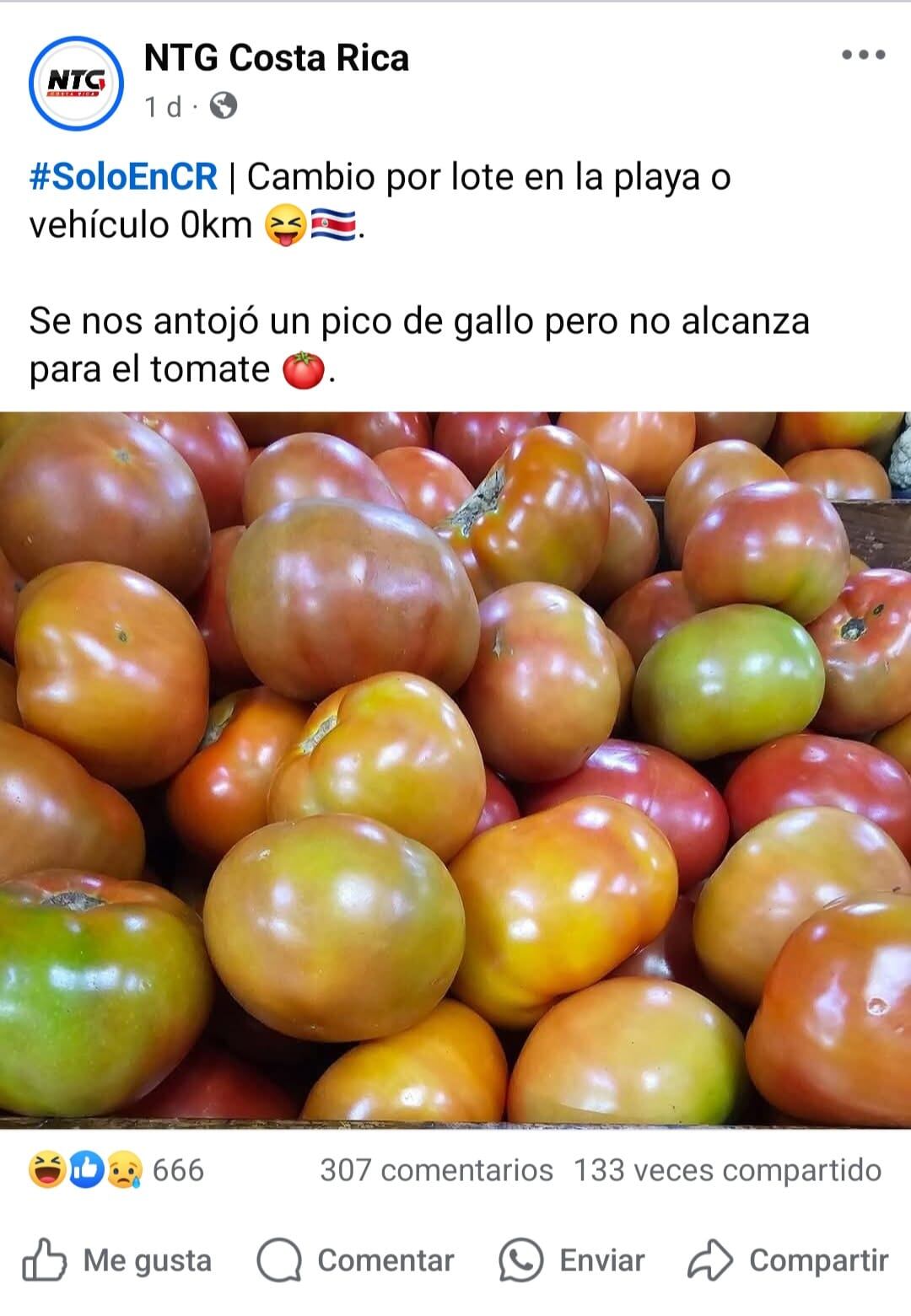 El tomate está carísimo