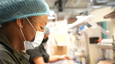 Desde principios de este 2024 puede tener trabajito