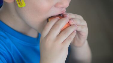 Curso lectivo 2025: Con estas cino meriendas sus hijos nunca se van a aburrir en el recreo