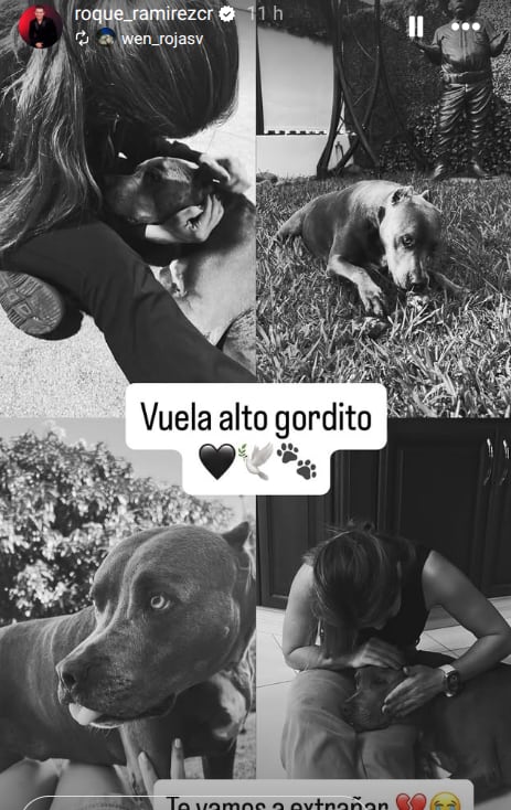 Roque Ramírez, humorista de Pelando el ojo