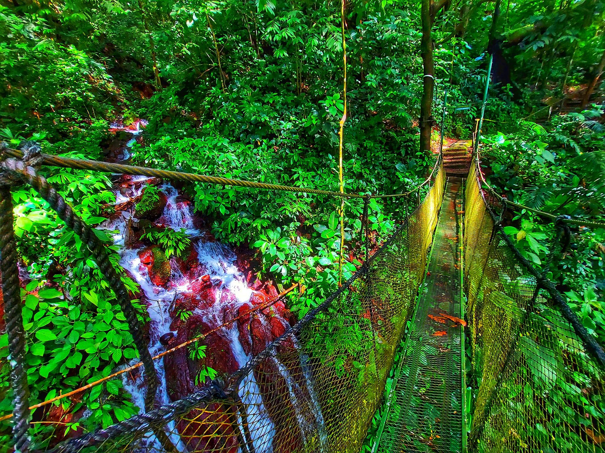 Una caminata lo lleva por uno de los lugares más hermosos de Parrita. Facebook.