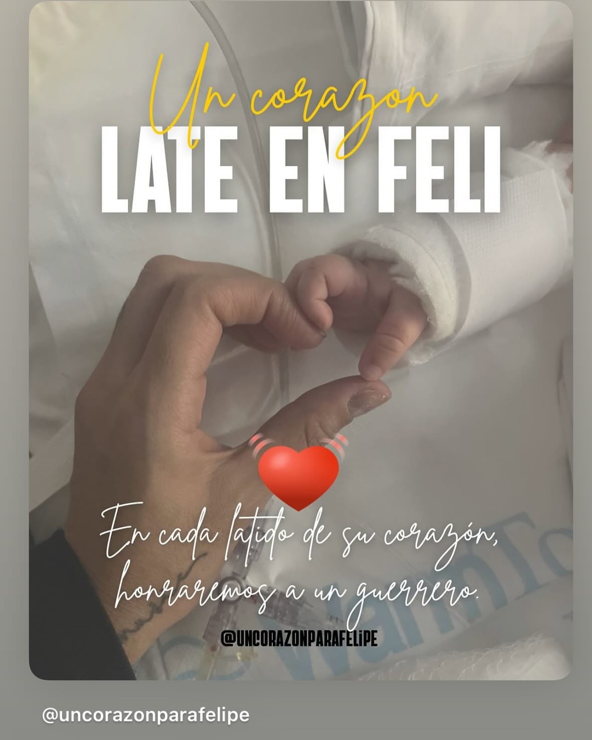 Late en Feli