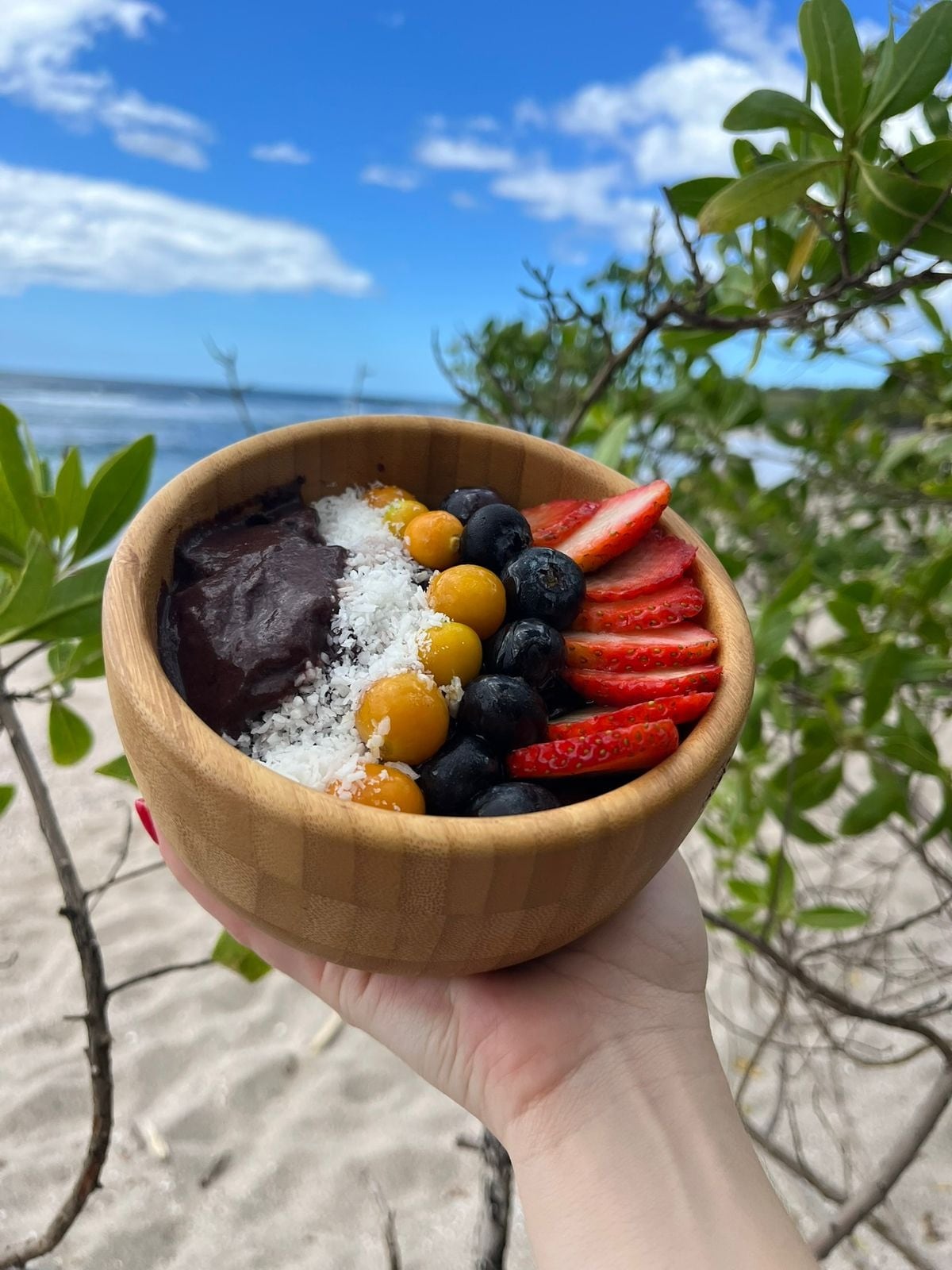 En Costa Rica hay muchas historias de pulseadores, pero la de Rodrigo Crovetto Chassoul, de 23 años, tiene un ingrediente que la hace única: el árbol de Guanacaste, símbolo nacional.