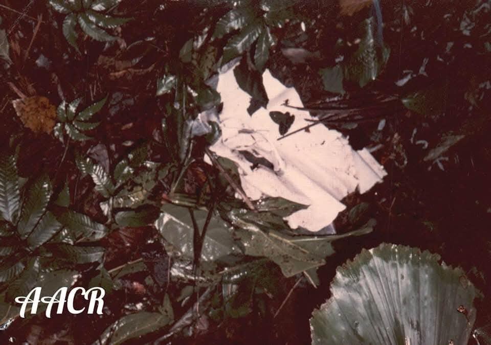 Francisco Eduarte González, de 29 años, falleció en un accidente aéreo junto al estudiante de aviación Roberto Ernesto Soto Campos, de 17 años, en la Fila Matama en Limón. Foto: Tomadas de Accidentes Aéreos Costa Rica