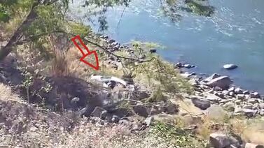 Conductor sobrevive de milagro tras caer en guindo que da al río Grande de Térraba