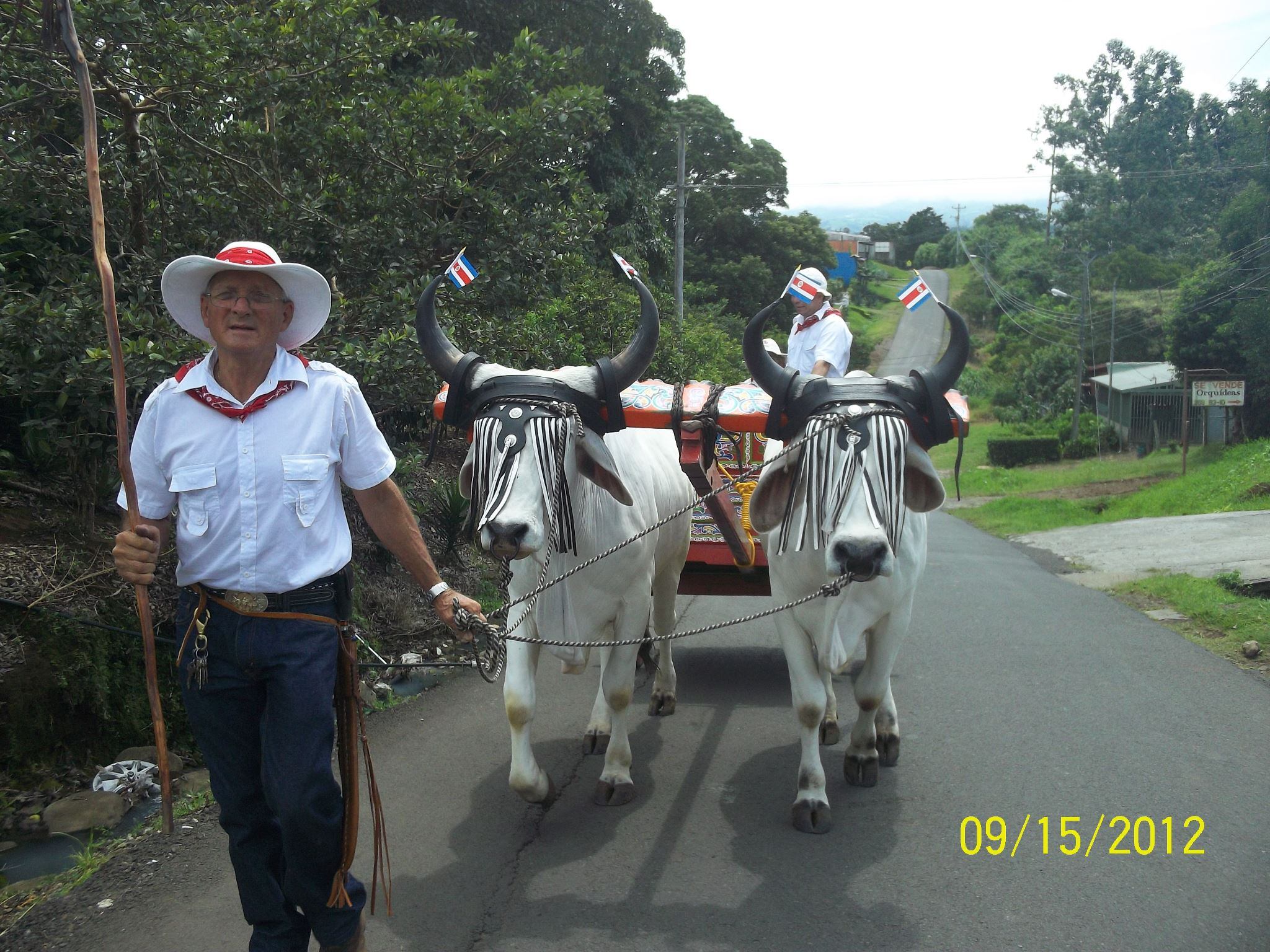 Don Víctor Sánchez Jiménez, un boyero de la pura cepa, de esos que nacieron en la casa y fueron inscritos mal ante el Registro Civil